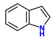 <p>Name this structure:</p>