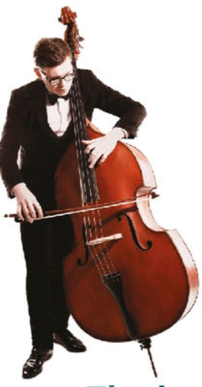 <p>The largest string instrument in the orchestra</p>