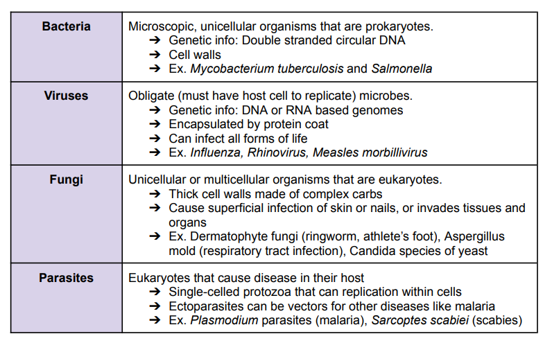 <ul><li><p>Imbalance between ‘good’ and ‘harmful’ microbes can lead normal flora to become opportunistic and lead to potential pathogens</p></li><li><p>However, microbes that normally cause disease (always pathogenic) are called pathogens</p></li></ul><p></p>