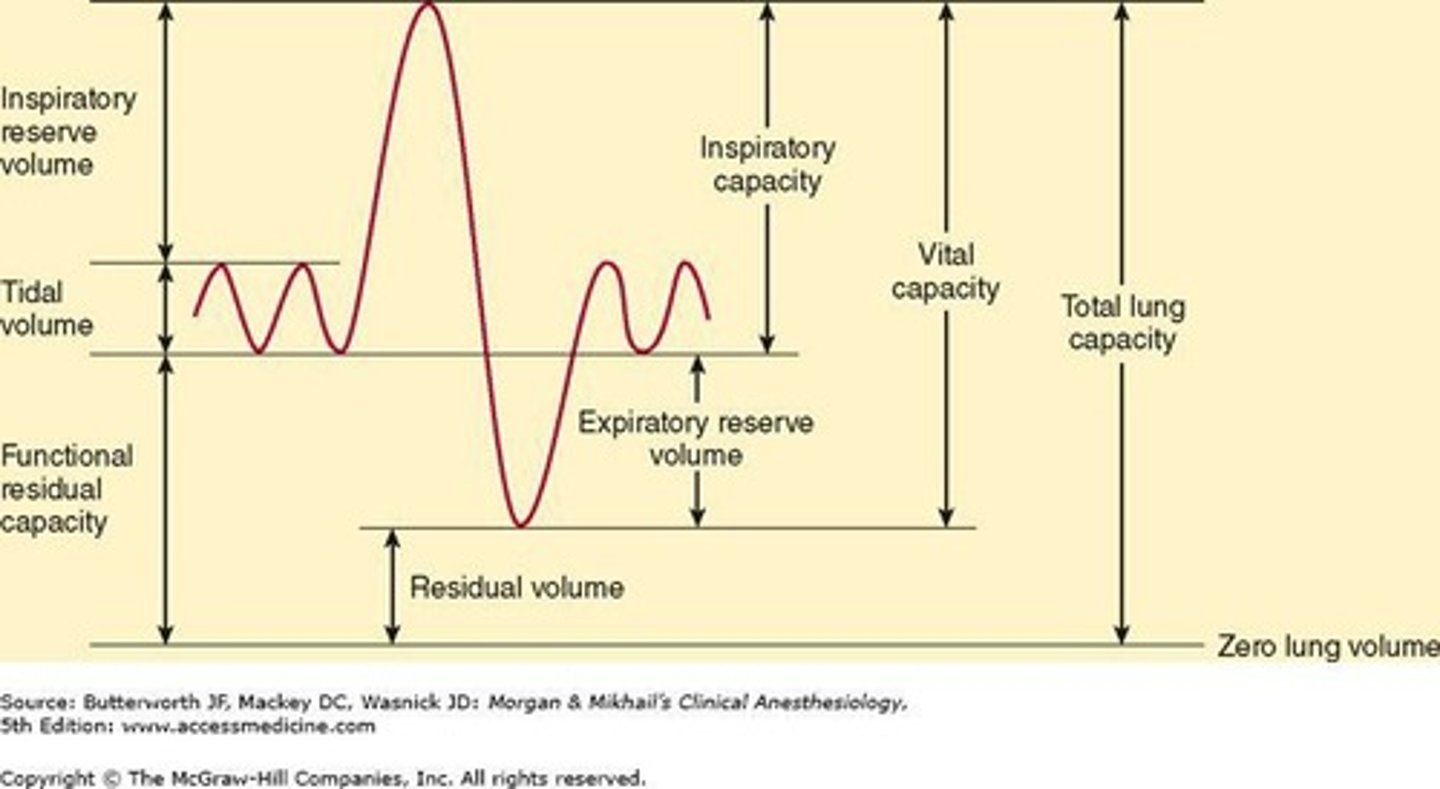 <p>The total volume of air exhaled during a forced breath.</p>