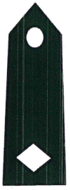 <p>What rank is this?</p>