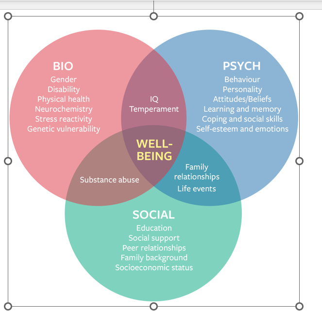 <p>bio - physical </p><p>social - support group </p><p>psychology- mind </p><p></p>