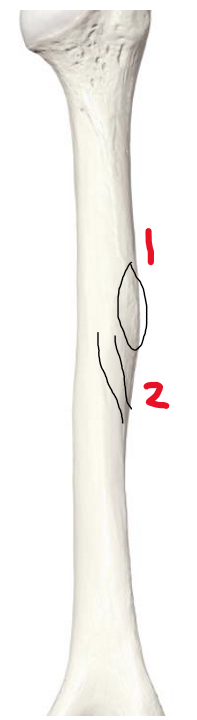 <p>2</p>