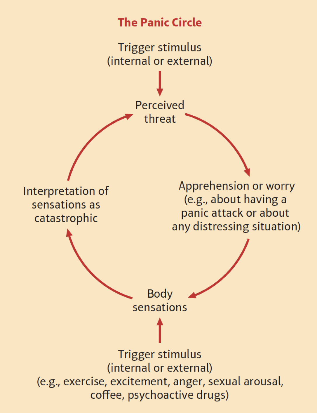 - classical conditioning--> settings of previous panic attacks and later trigger anxiety 
-panic cycle-->perceived threat, apprehension or worry, bodily physiological sensations, interpretation of sensations as catastrophic
