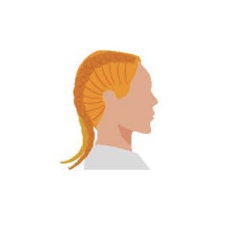 <p>французька коса</p>