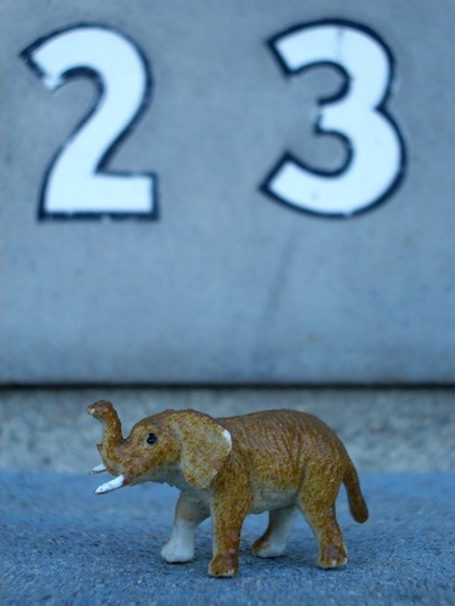 <p>23</p>