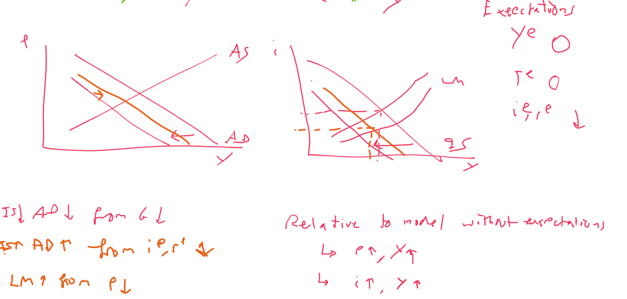 <p>Y = Y<sup>e </sup>&amp; T = T<sup>e</sup>                    r &amp; i are different to r<sup>e </sup>&amp; i<sup>e</sup></p><p>i &amp; r fall → HW + NHW +I rise</p><p>AD shifts after initial AD fall</p>