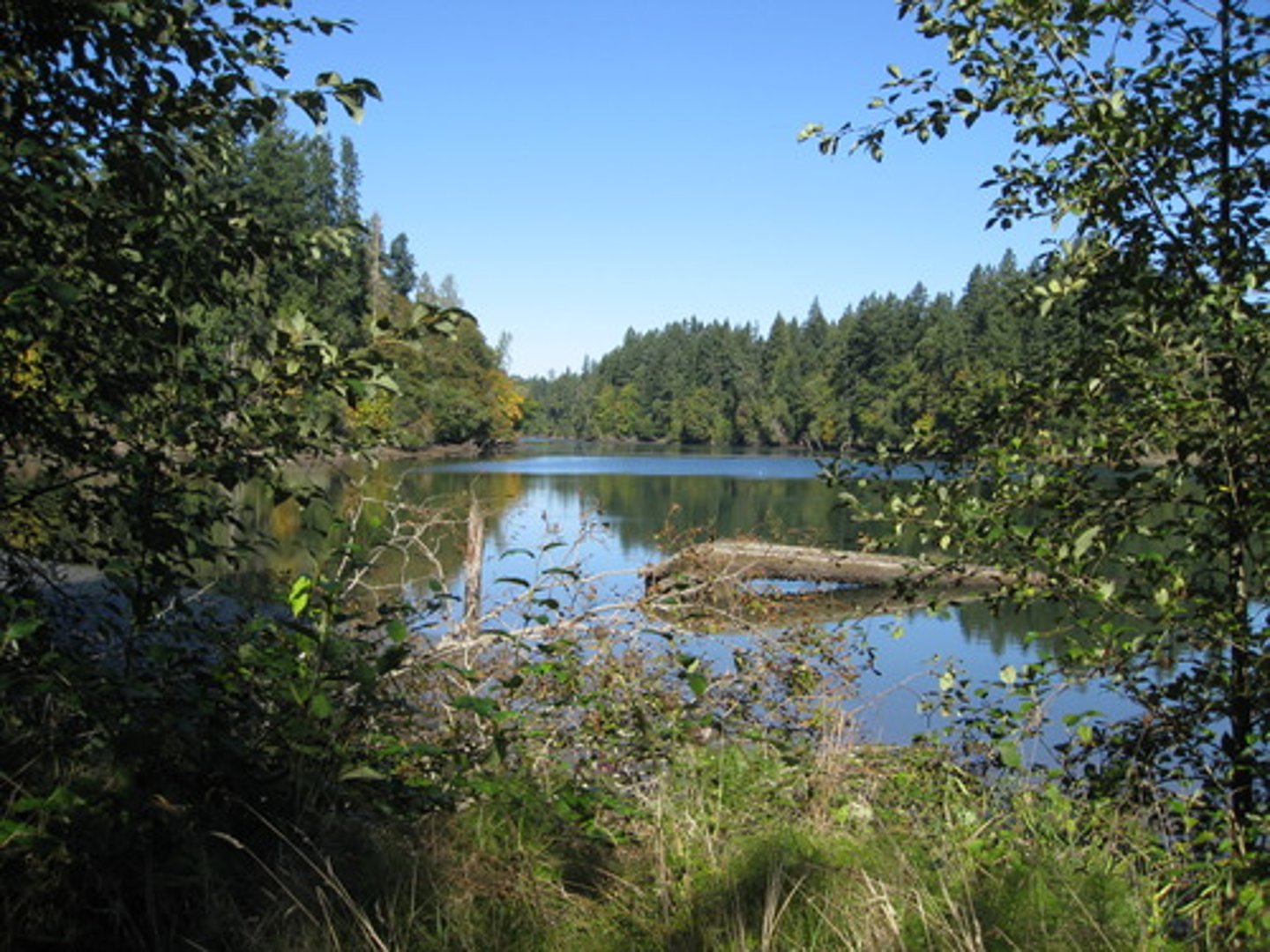 <p>Any natural material that is used by humans.</p>