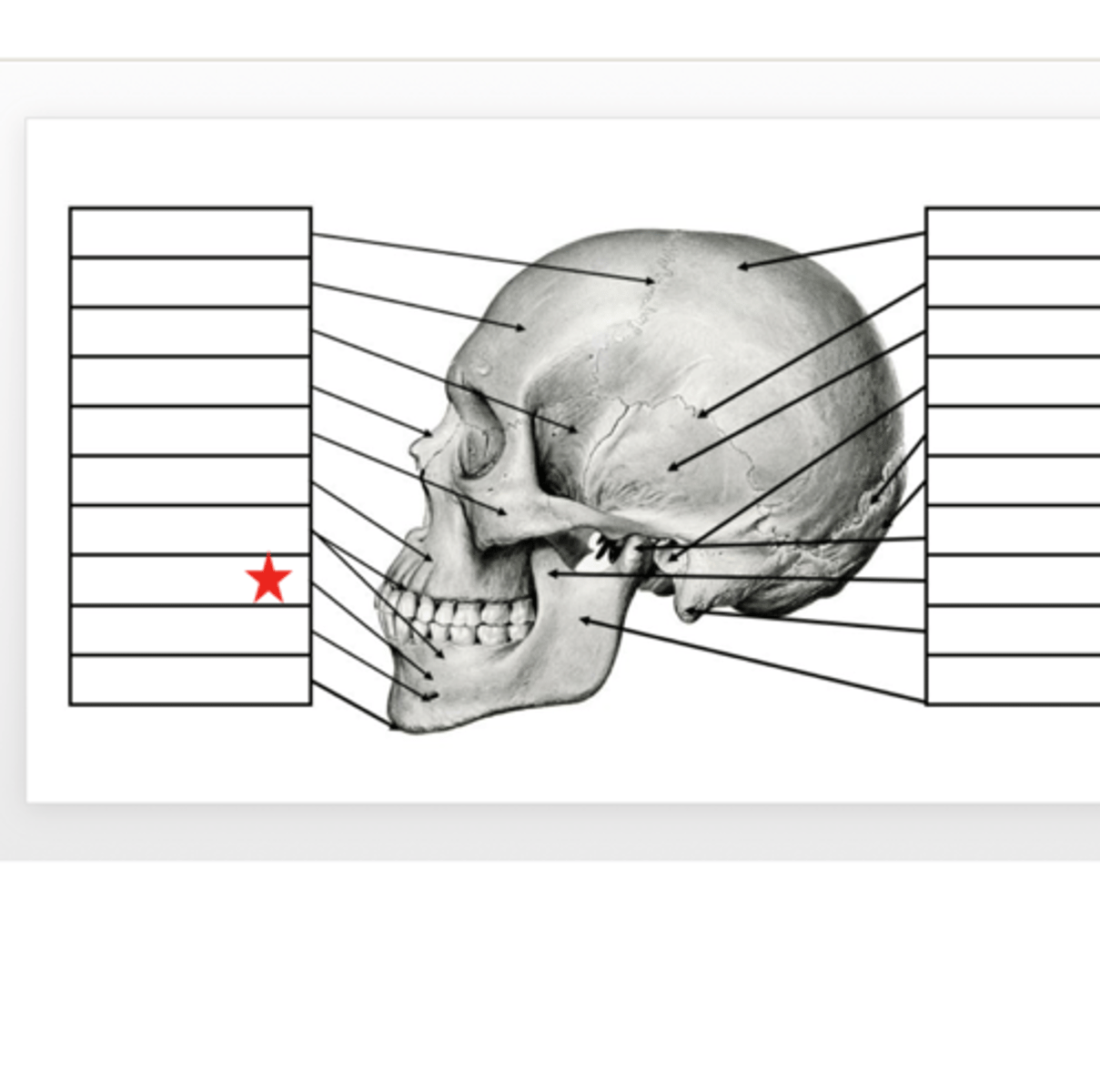<p>What is this?</p>