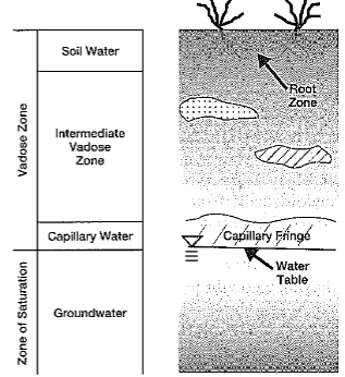 <ul><li><p>major source of all fresh drinking water supplies in some countries</p></li><li><p>stored underground in <strong>aquifers</strong></p></li><li><p>highly vulnerable to pollution</p></li><li><p>understand for management and protection of water resources</p></li><li><p>comes from <strong>precipitation </strong>that <strong>filters </strong>through <strong>vadose zone</strong> (important environmental role in GW systems) to reach the <strong>zone of saturation</strong> where GW flows</p></li></ul><p></p>