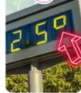 <p>градусы</p>