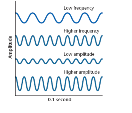 <p>amplitude; loudness; how many waves occur per second</p>