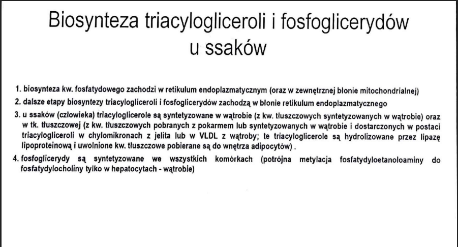 <p>retikulum endoplazmatycznym</p>