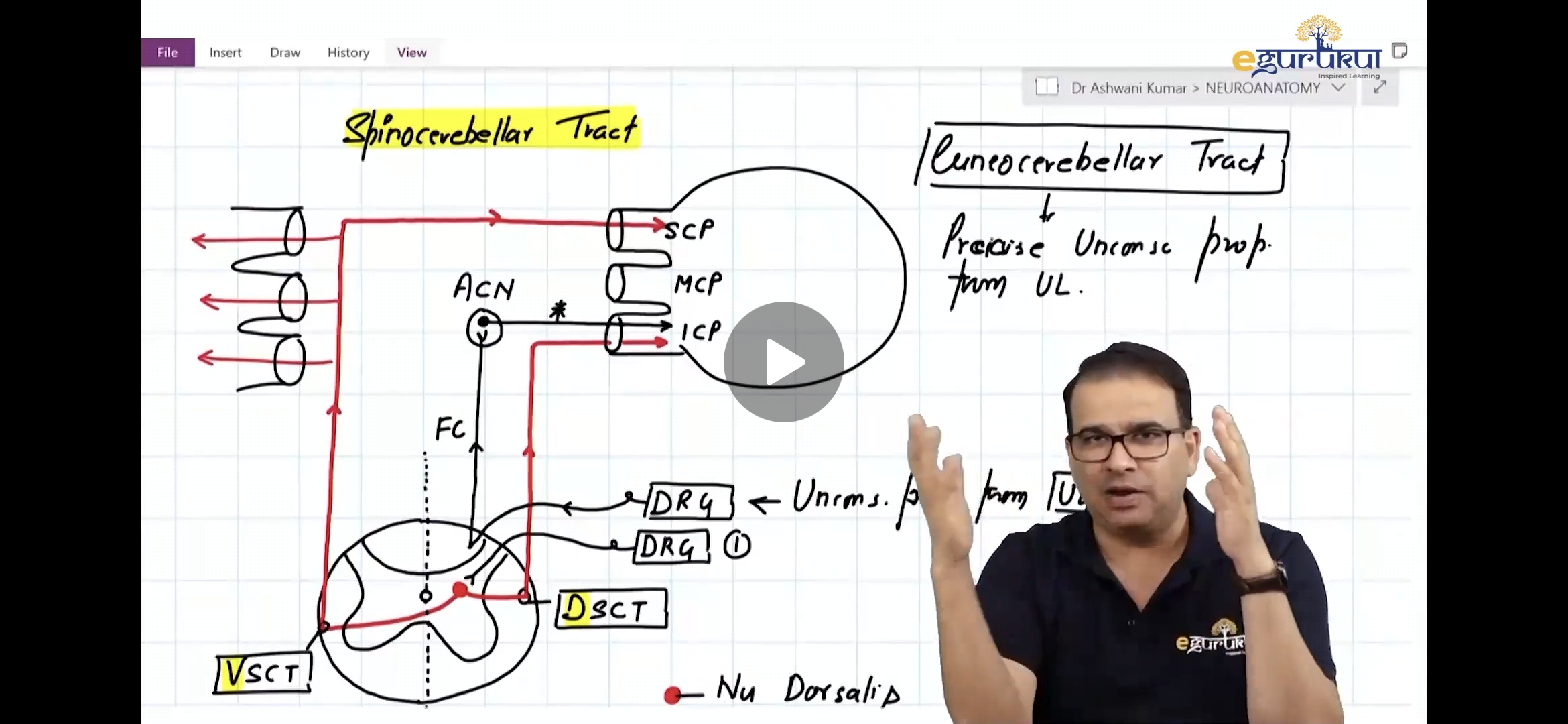 knowt flashcard image