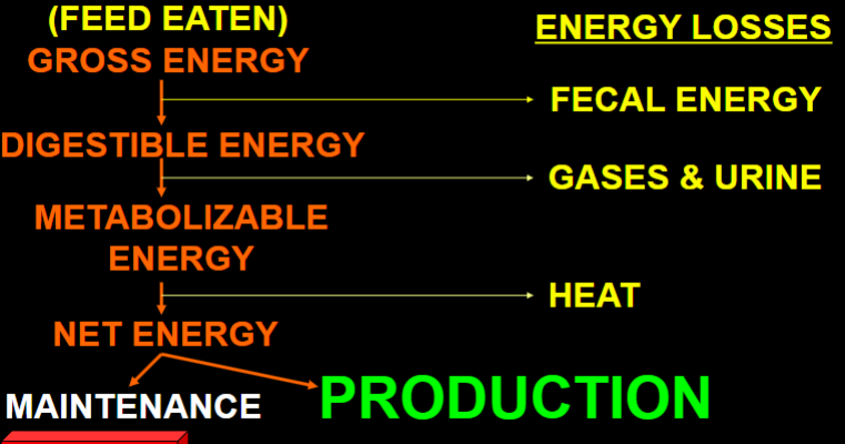 <p>Components of energy</p>