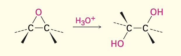 <ul><li><p>anti stereochemistry</p></li></ul><p></p>
