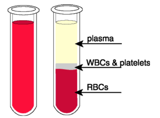 <p>Blood plasma</p>