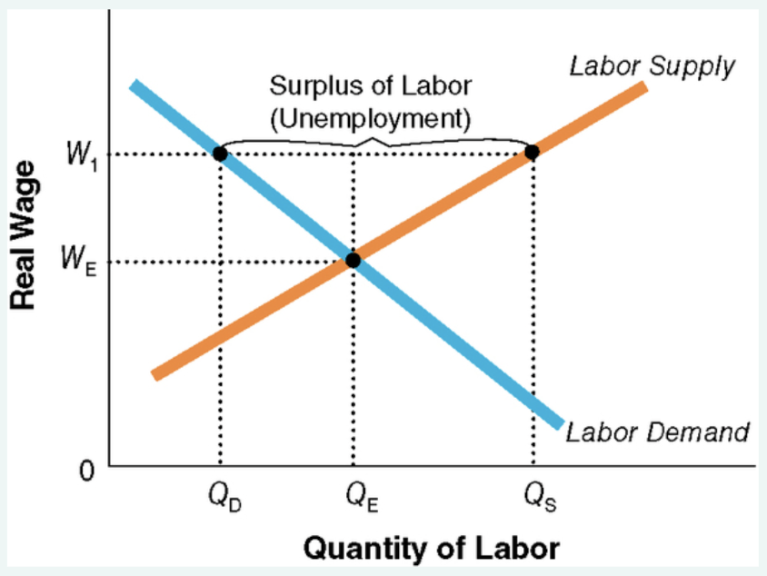 quantity of labor demanded decreases because employers find it unprofitable to hire low-skilled workers @higher wage 

demand for labor is inelastic 

minimum wage > market wage = unemployment