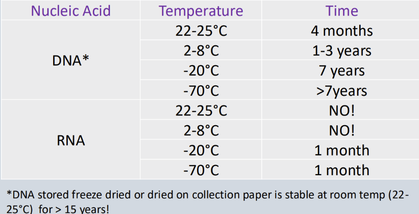 <p><span style="line-height: 18px;"><u>Nucleic acid storage...</u>&nbsp;</span></p><ul><li><p class="Paragraph SCXW119223002 BCX0" style="text-align: left;"><span style="line-height: 18px;">After specimen has been processed&nbsp;</span></p></li></ul><ul><li><p class="Paragraph SCXW119223002 BCX0" style="text-align: left;"><span style="line-height: 18px;">DNA can be stored for longer than DNA&nbsp;</span></p><ul><li><p class="Paragraph SCXW119223002 BCX0" style="text-align: left;"><span style="line-height: 18px;">Freeze dried and collection paper dried DNA is stable at room temperature&nbsp;</span></p></li></ul></li></ul><p></p>