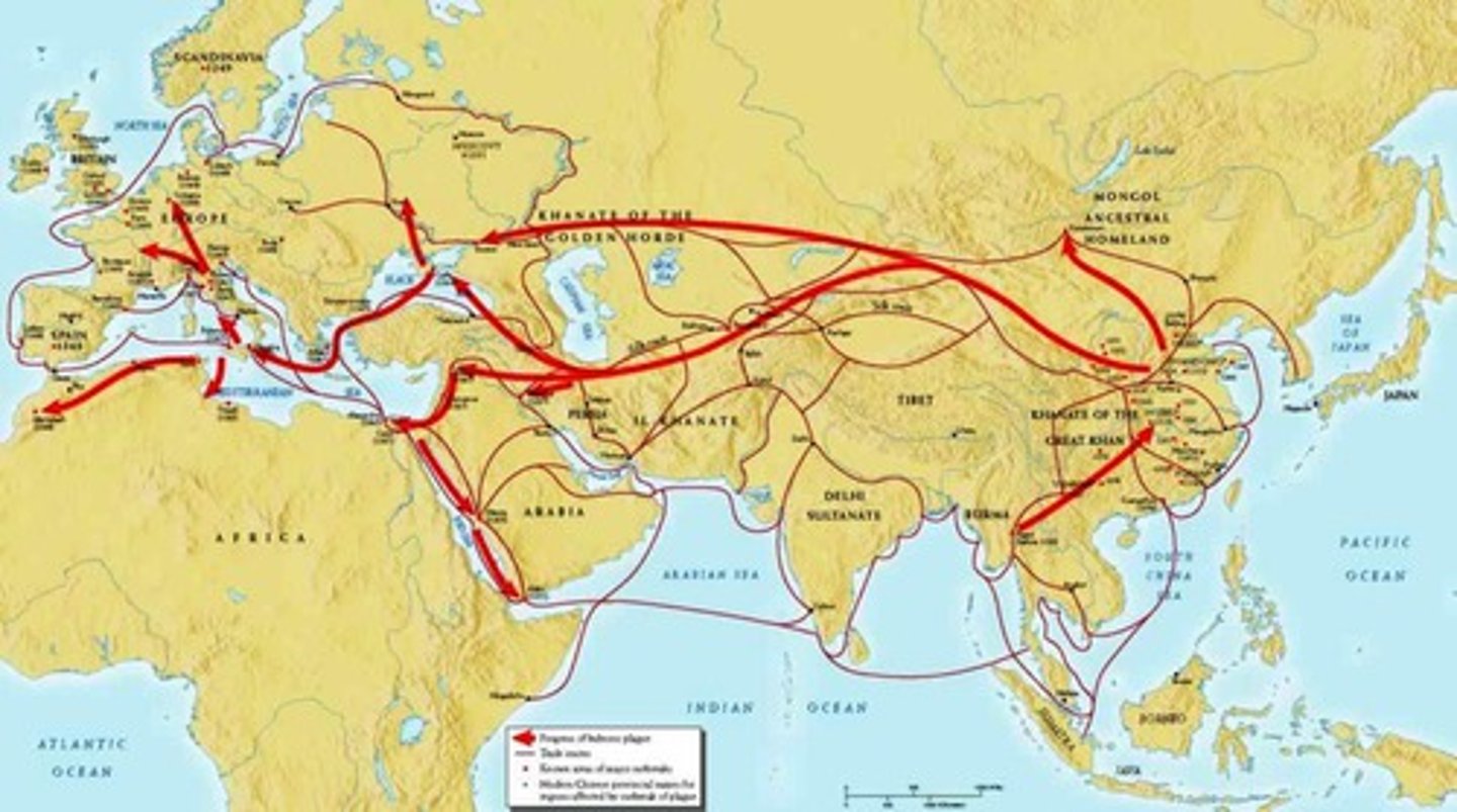 <p>Also called the Black Death; the deadly disease that spread through Asia and Europe and killed more than a third of the population in some areas; hit Europe (peak 1347-1351) especially hard due to unsanitary living conditions and overcrowded cities; spread thanks to increased trade along the Silk Roads</p>