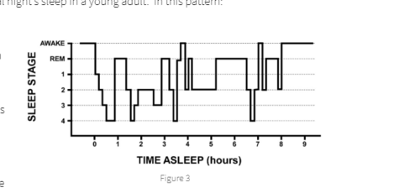 <p>describe average sleep cycle</p>