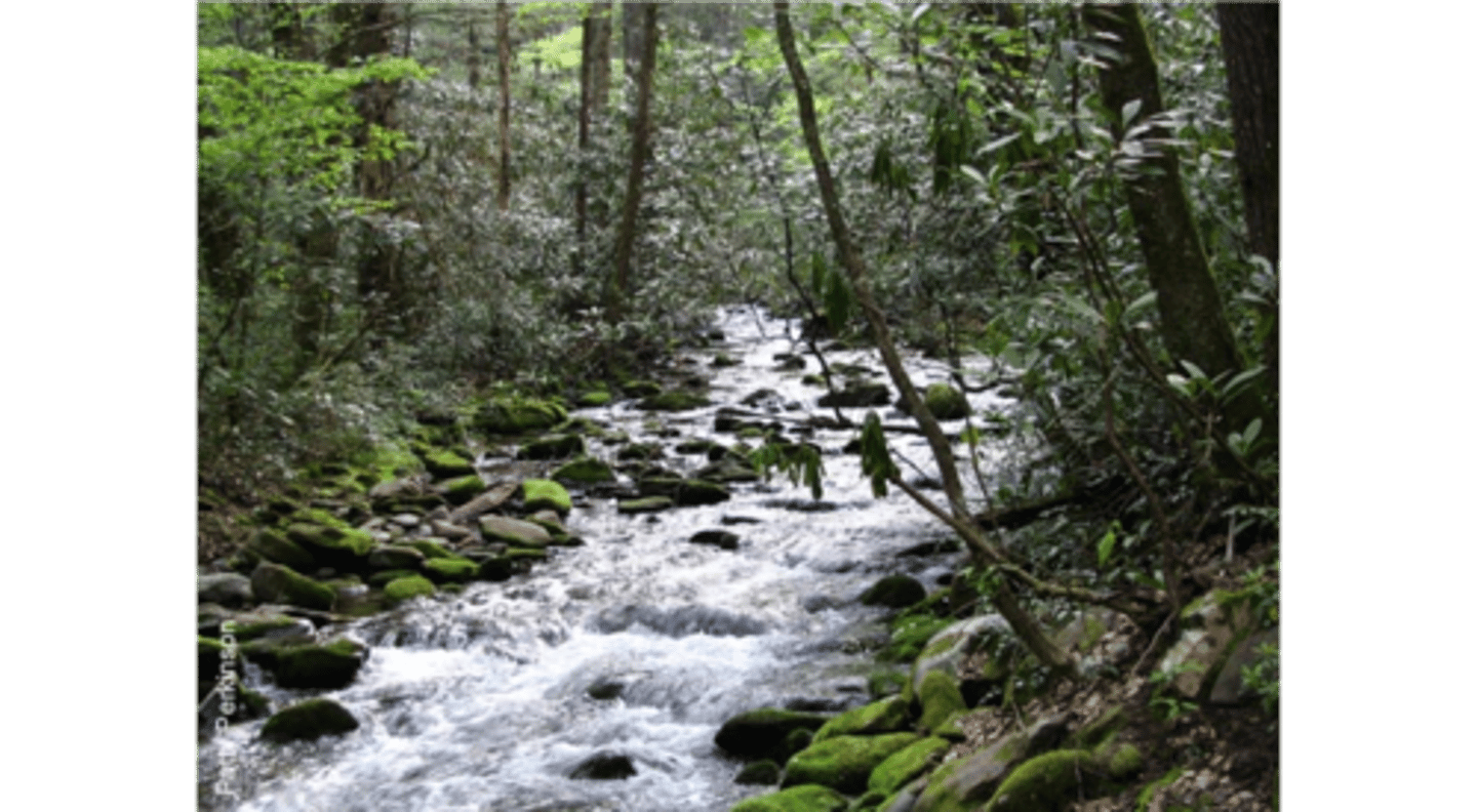 <p>The house is on the river</p>