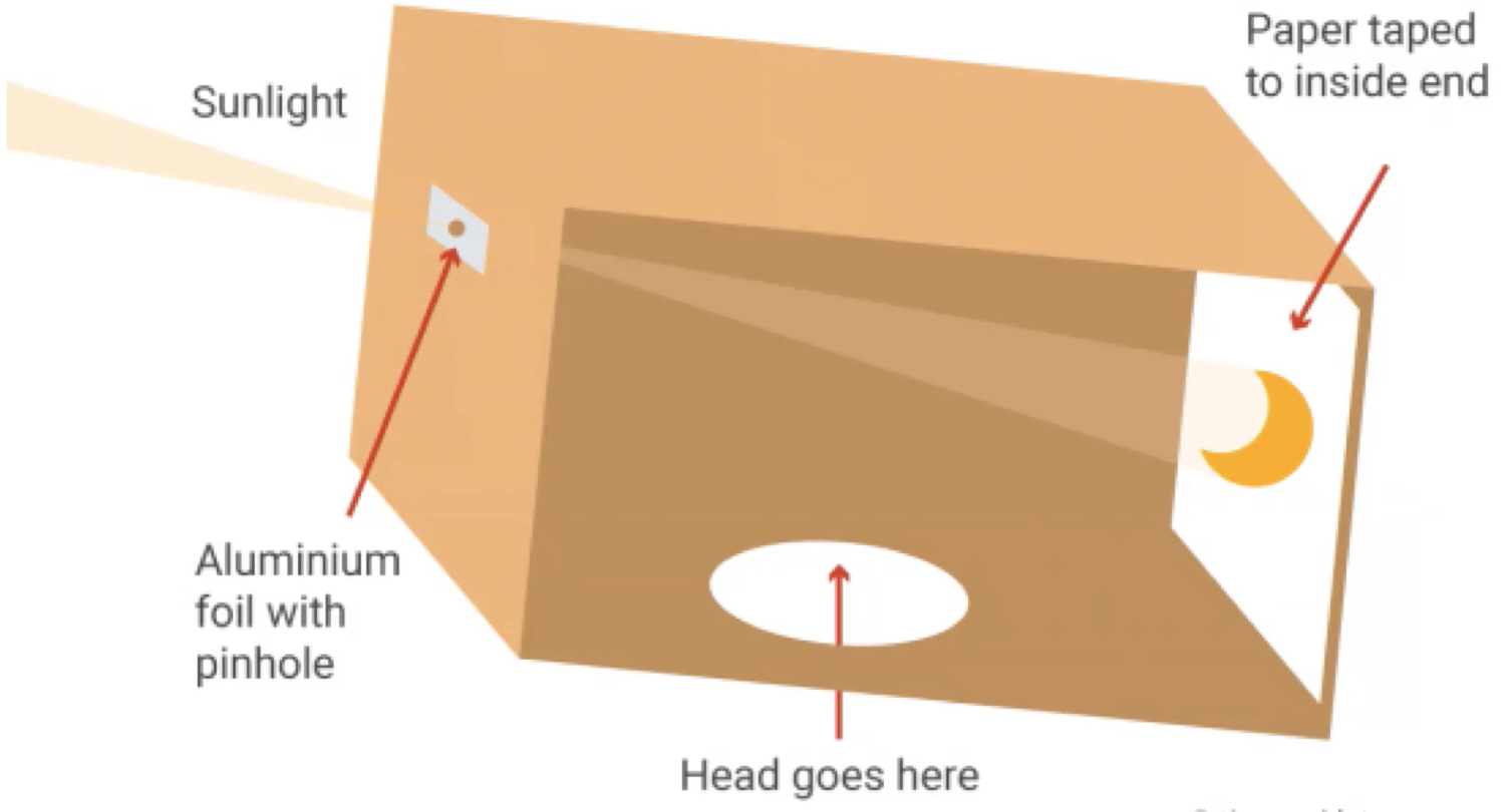 <p>pinhole camera</p>