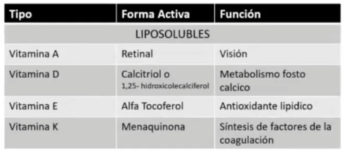 <p><strong>Fácilmente almacenadas y</strong> si se acumulan en <strong>exceso</strong> puede<strong> causar toxicidad</strong> (más común <strong>hipervitaminosis</strong>)</p><ul><li><p><strong>Vitamina A Retinal</strong></p></li><li><p><strong>Vitamina D Calcitriol</strong></p></li><li><p><strong>Vitamina E Alfa tocoferol</strong></p></li><li><p><strong>Vitamina K Menaquinona</strong></p></li></ul><p></p><p>Solo se absorben bien cuando la absorción de los lípidos es normal. Se transportan por la sangre unidas a lipoproteínas. Si se consume vitamina A o D en exceso puede haber toxicidad.</p>