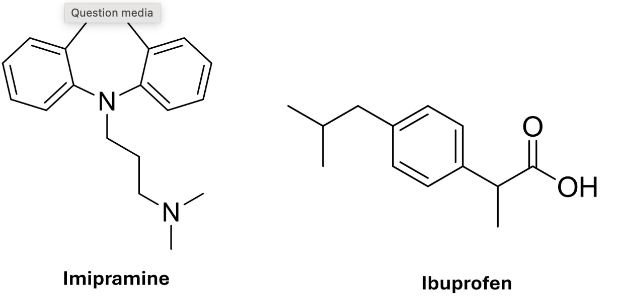 <p>Which drug would you expect to have a longer half life and why?</p>