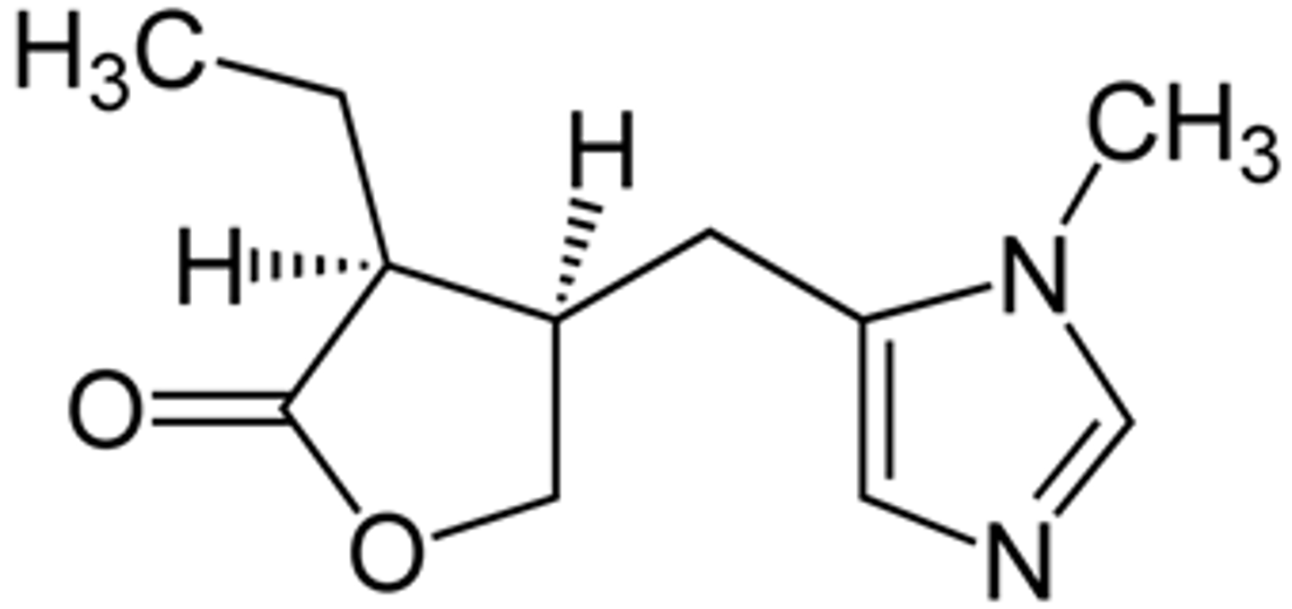 <p>muscarinic agonist</p><p>imidazole alkaloid from the plant pilocarpus jaborandi</p><p>has stability problems due to stability</p>