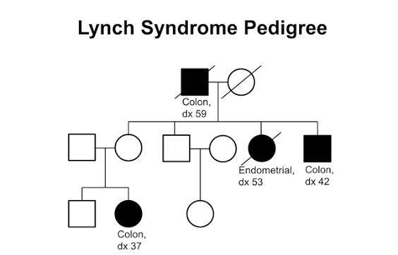 <p>pedigree</p>