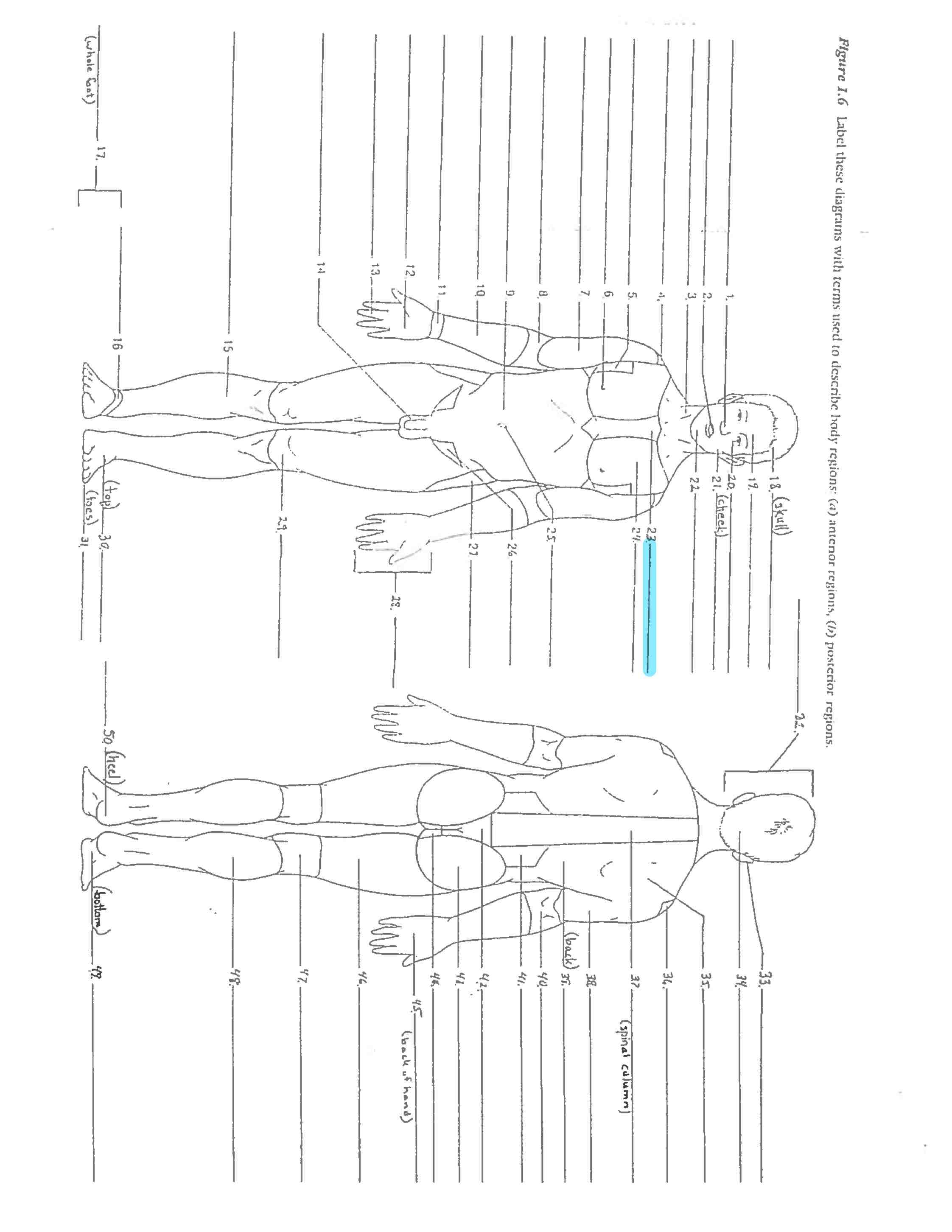 <p>Line 23</p>