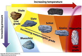 <p>When a rock is subjected to an increase in temperature and pressure following progressive burial…</p>