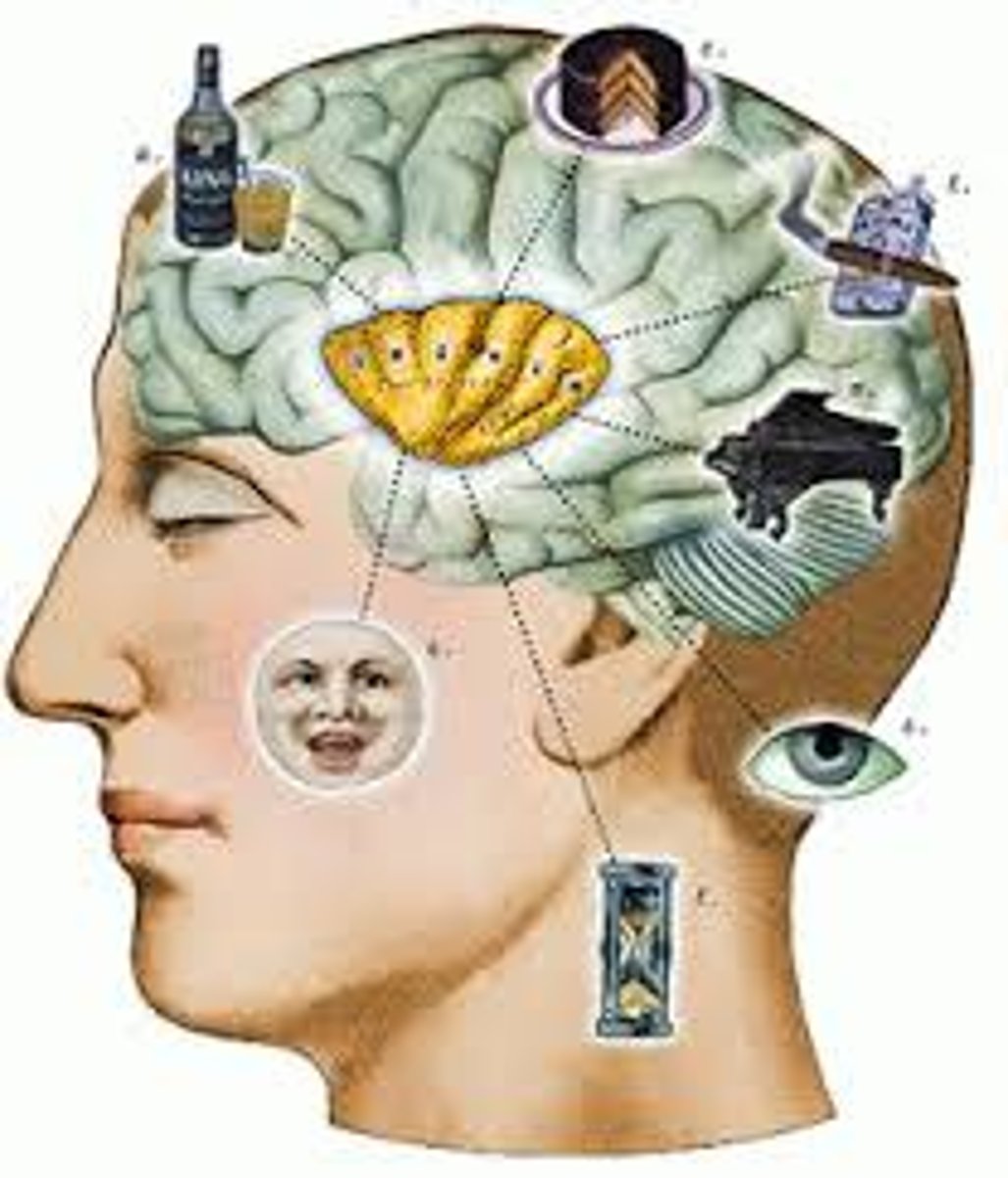 <p>connected with or happening in the mind; involving the process of thinking ((thuộc) trí tuệ, trí óc; mất trí)</p>