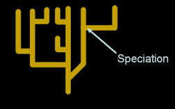 <p>Predicts that there’s no change until species evolve</p>