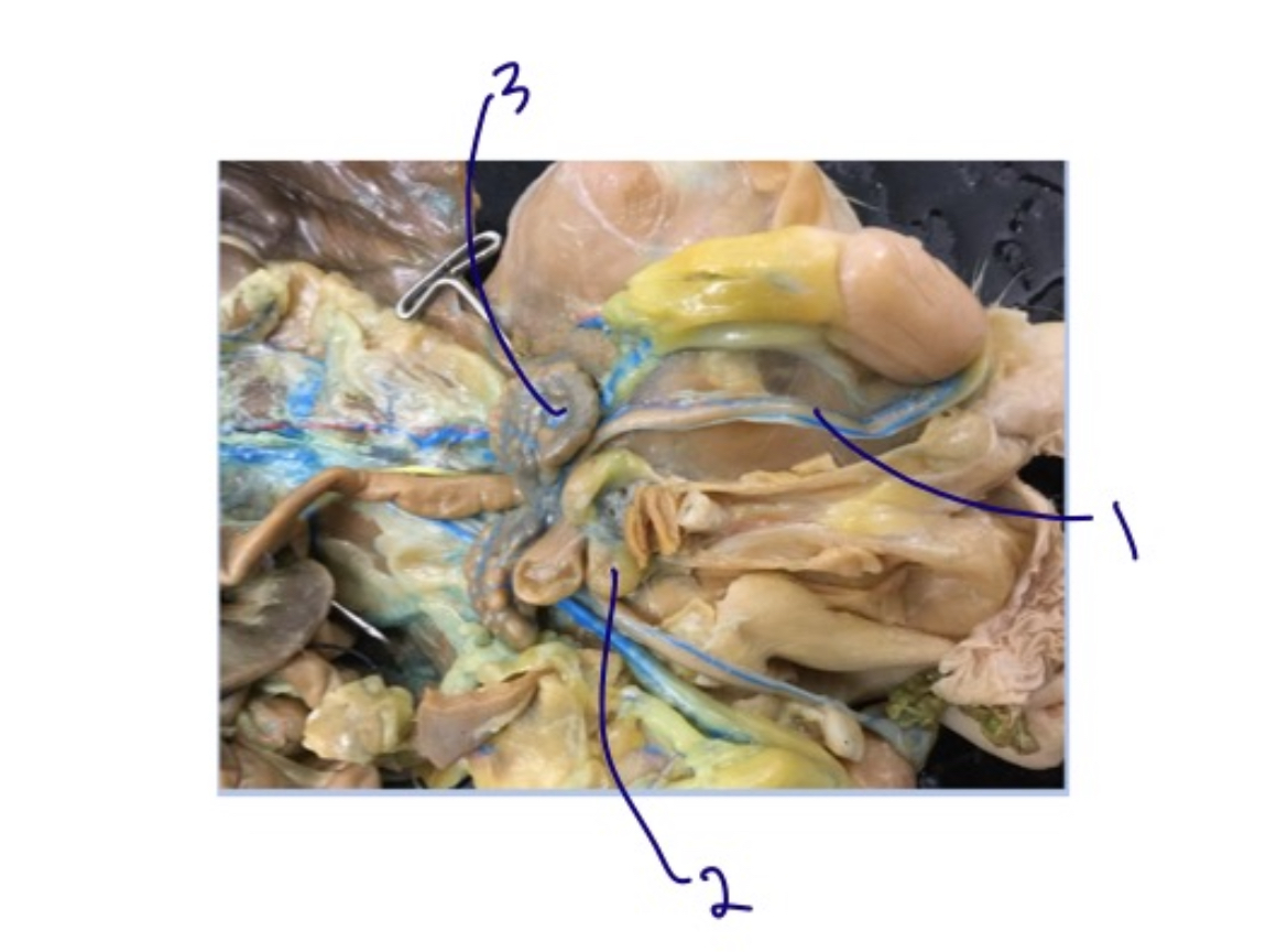 <p>1</p>