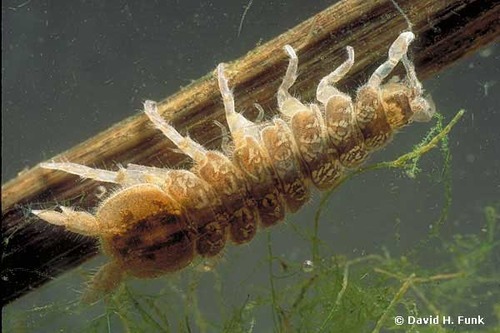 <img src="https://knowt-user-attachments.s3.amazonaws.com/1252f245-7064-44e3-be4e-10d0b3ed66b0.jpg" data-width="100%" data-align="center"><img src="https://knowt-user-attachments.s3.amazonaws.com/77a81812-8a75-402e-88b8-ed2805887d49.jpg" data-width="100%" data-align="center"><p></p>