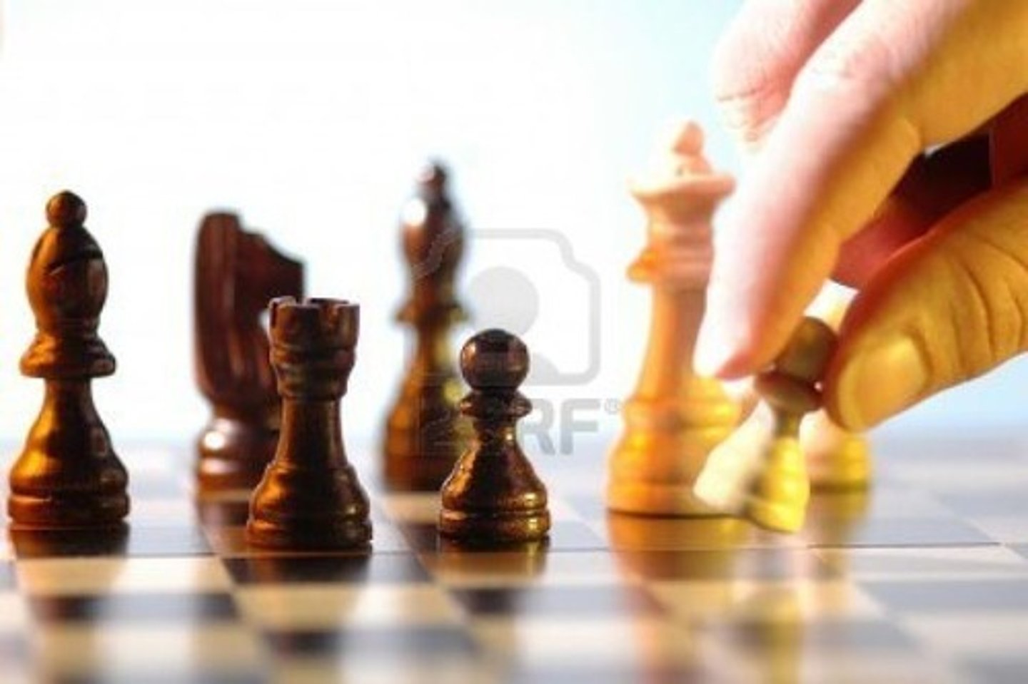 <p>you play</p>