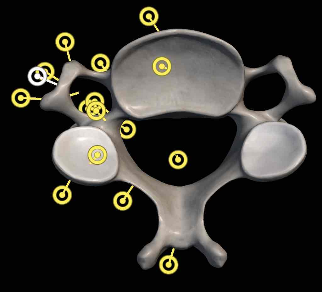<p>Name the structure </p>