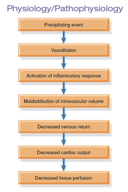 <p>Loss of sympathetic vasomotor tone/ “maldistribution of blood flow”</p><ul><li><p>is marked by systemic vasodilation that leads to increased capillary permeability and decreased blood flow to the brain, heart, and kidneys, causing damage to vital organs.</p></li></ul><p></p>