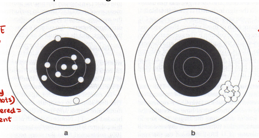 <p>describe the CE and VE for these diagrams </p>