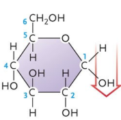 <p>Is this an α or β glucose?</p>