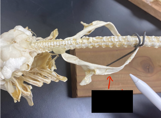<p>What part is this</p>