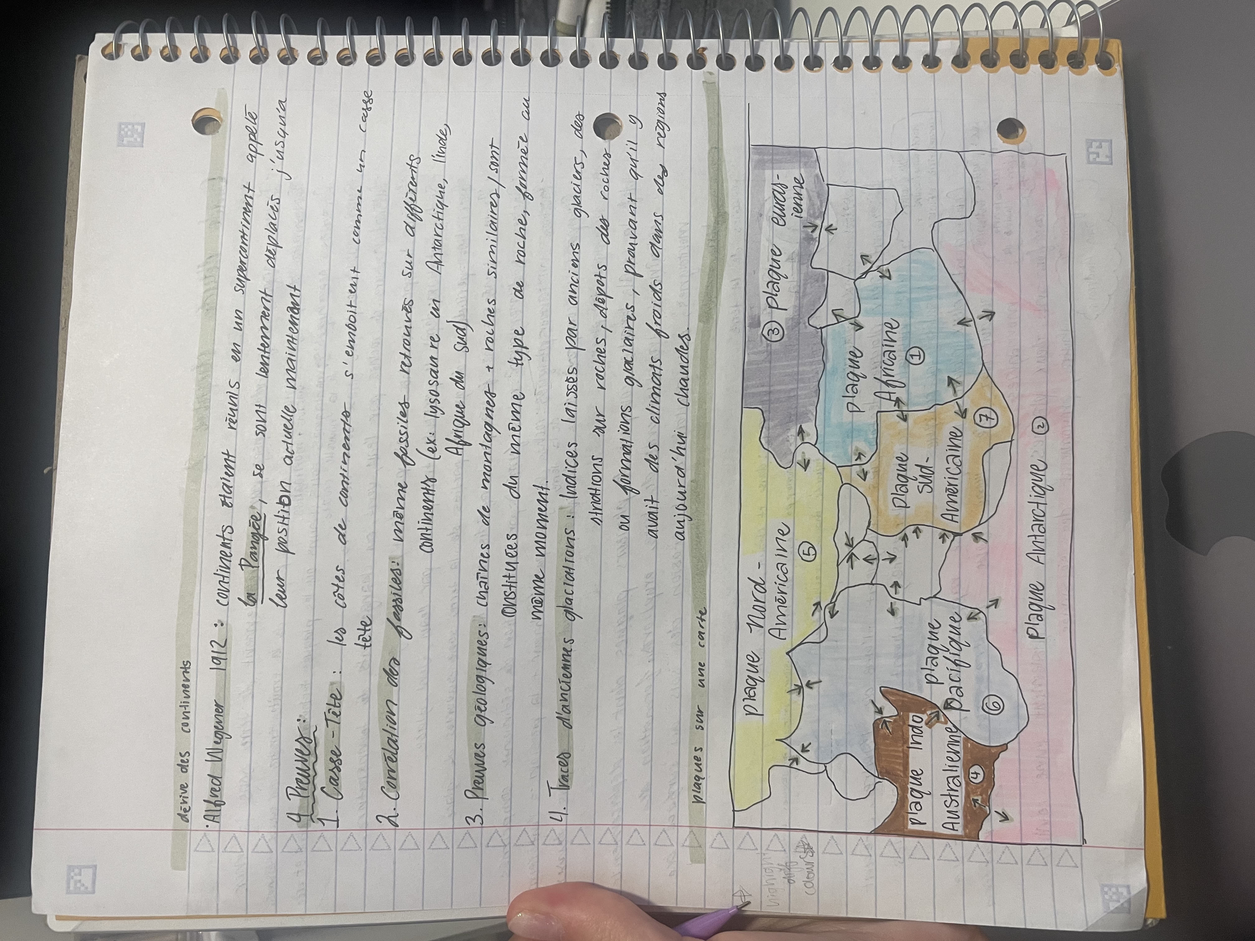 knowt flashcard image
