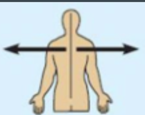 <p>away from the midline of the body; on the outer side ex: the arms are (blank) to the chest</p>