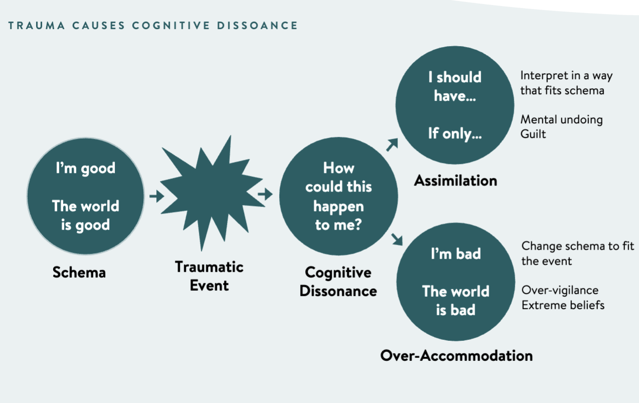 <ul><li><p><strong><span>The cognitive dissonance model shows how one can have the SCHEMA that they are good and the world is good and how a traumatic event can affect them.(trauma affects their schema). This effect causes the individual to wonder how could this happen to them which is known at the phenomenon COGNITIVE DISSONANCE. From there the person can experience ASSIMILATION: which is them thinking what they should have done and if only… They interpret in a way that fits their schema and the mental undoing of guilt. This can create consonance. After cognitive dissonance the person can also experience OVER-ACCOMODATION: where they believe they are and the world is bad. These individuals change their schema to fit the event and are over-vigilant and have extreme beliefs.&nbsp;&nbsp;</span></strong></p></li></ul>