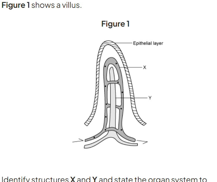 <p>what is x AND y </p>