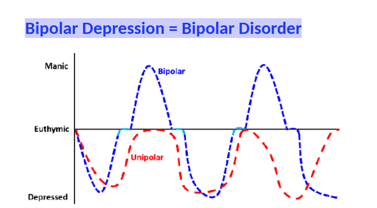 <p>experiences both manic and depressed</p>