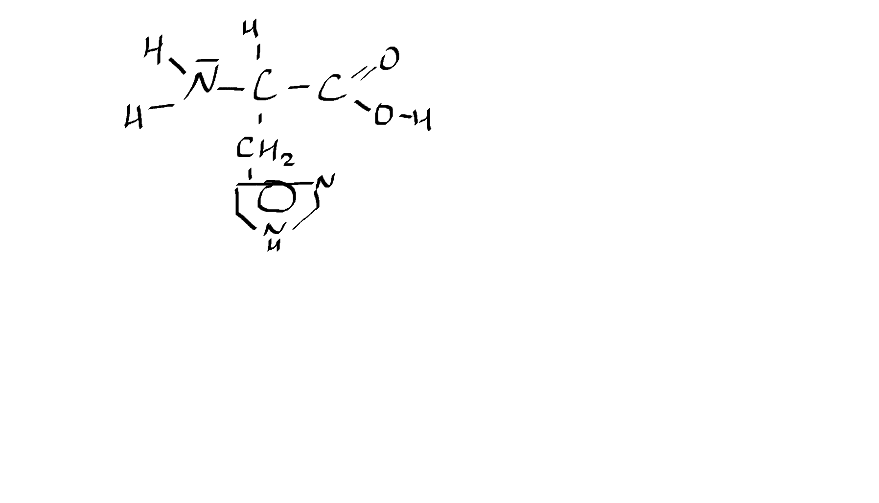 <p>Welche Aminosäure ist das?</p>