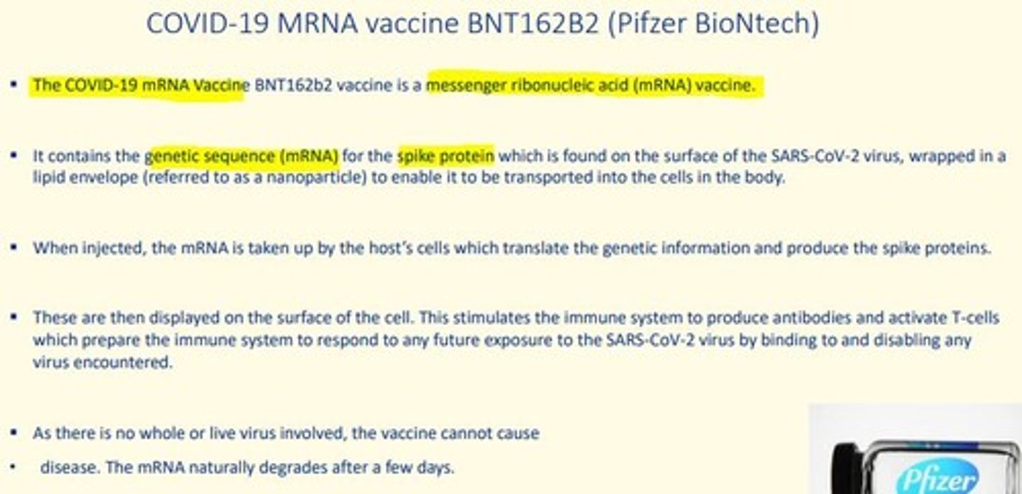 <p>mRNA vaccine </p><p>Contains genetic sequence (mRNA) for spike protein found on the surface of SARS-CoV-2 virus, wrapped in lipid envelope (nanoparticle) to allow it to be transported into cells in the body.</p><p>When injected, the mRNA is taken up by host cells which translate the genetic information and produce the spike proteins.</p><p>These spike proteins are then displayed on the surface of the cell. This stimulates an immune response to produce antibodies and activate T-cells which prepare immune system to respond to any future exposure to SARS-CoV-2 virus by binding to and disabling any virus encountered.</p>